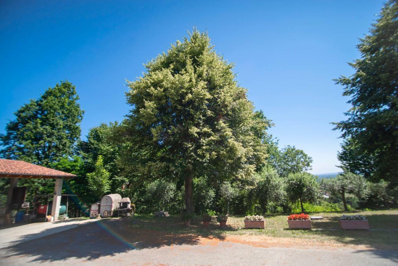 Agriturismo Turina Bricherasio Exterior foto